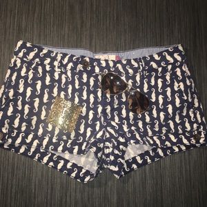 Clearance!! 💲 Seahorse Shorts Size 13